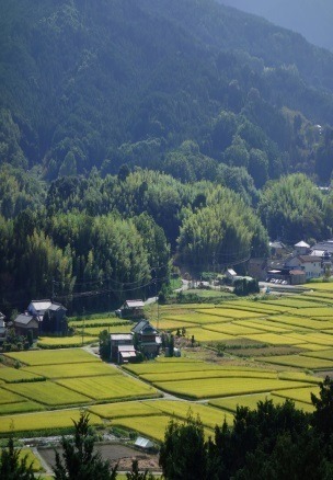 写真02.jpg