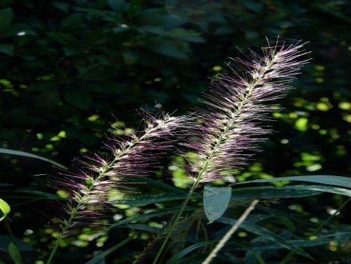 写真04.jpg