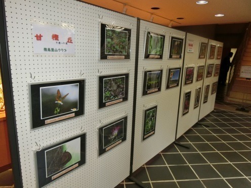 写真05.jpg