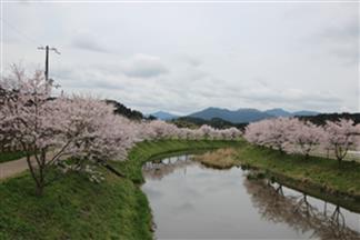 宇陀川堤.jpg