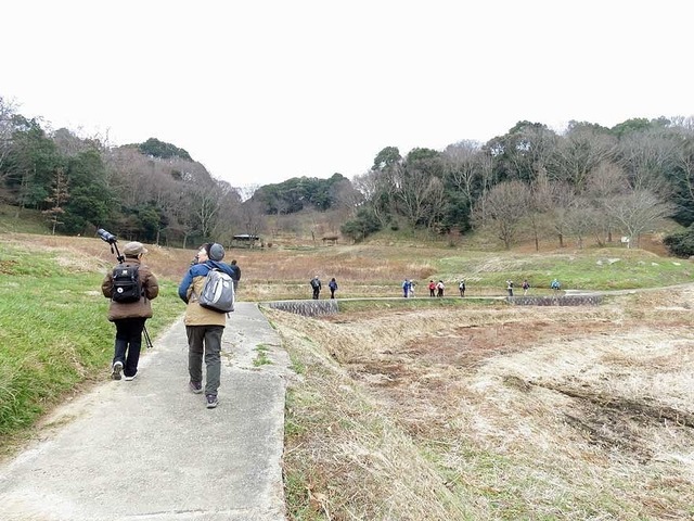 探鳥風景.jpg