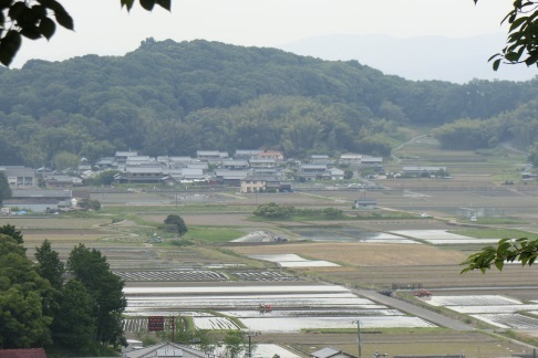 田植え.jpg