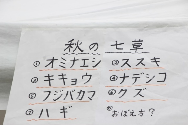 自然04-2.jpg