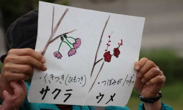 自然観察4月02.jpg