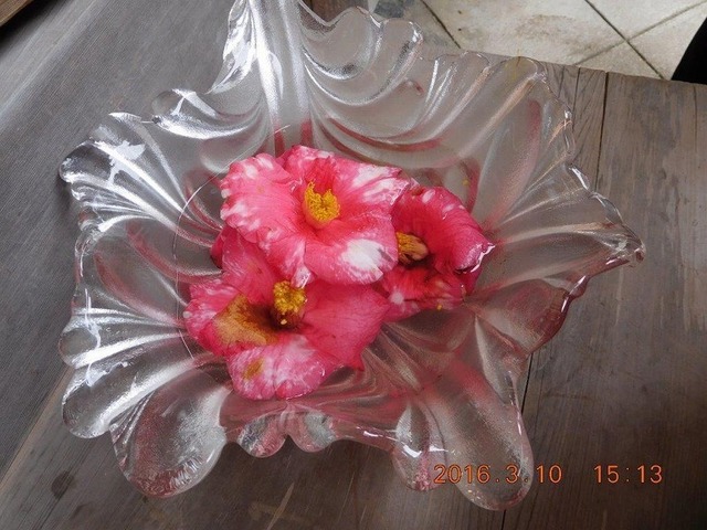 自然（3月）06.jpg