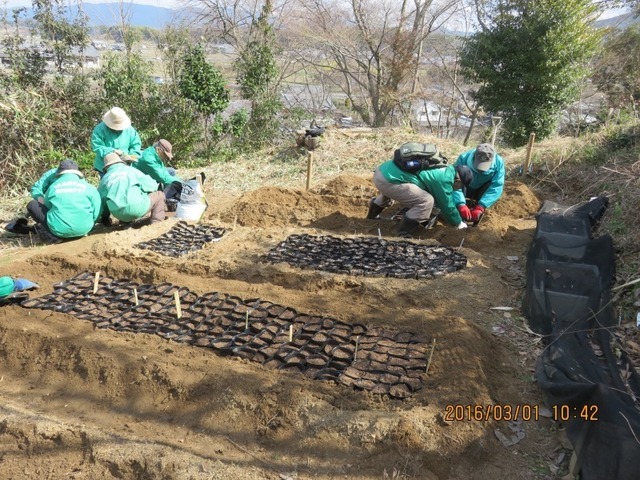 里山づくり隊3.jpg