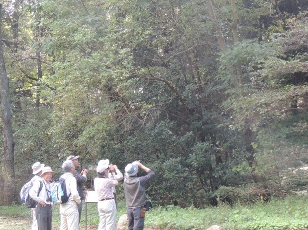 野鳥04.jpg