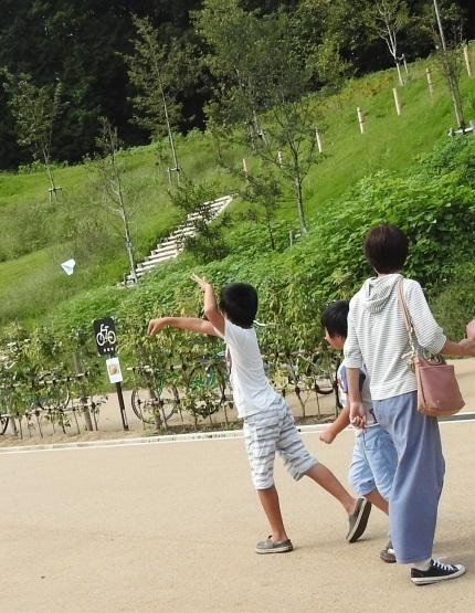 野鳥05.jpg