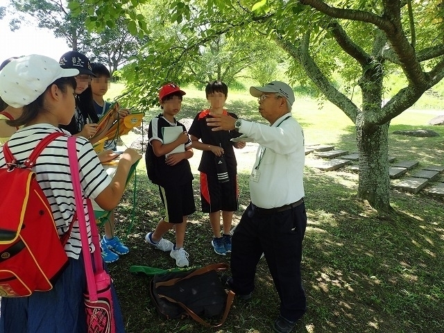 P6100006.jpg